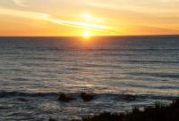 DSC08977.jpg
