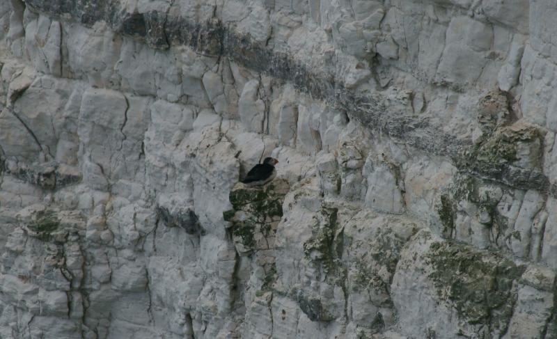 randomBempton Cliffs