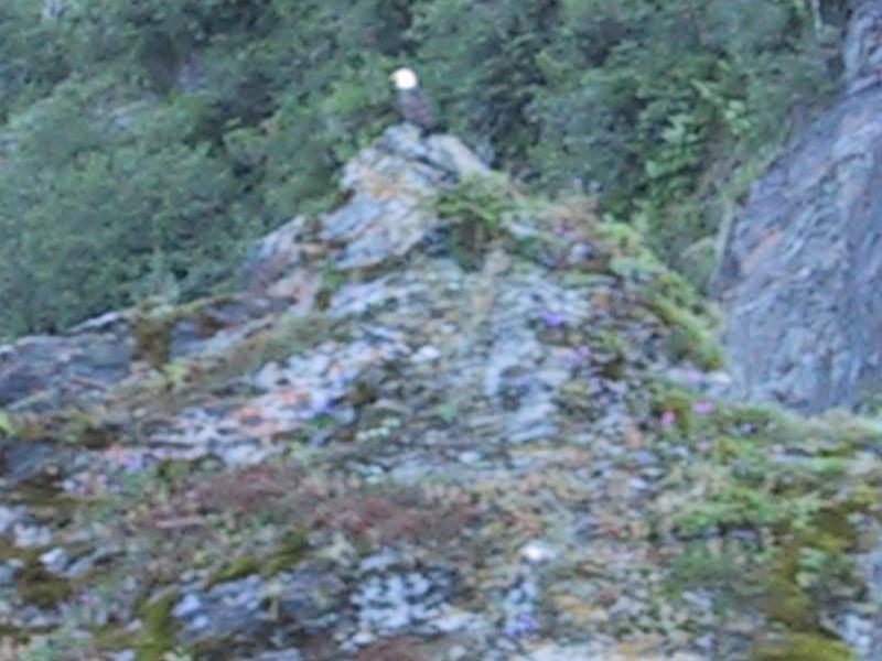 randomAlaska Holiday 2001