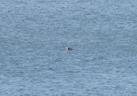 DSC03267.jpg