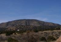 DSC05859.jpg