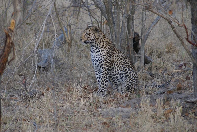 randomSabi Sands