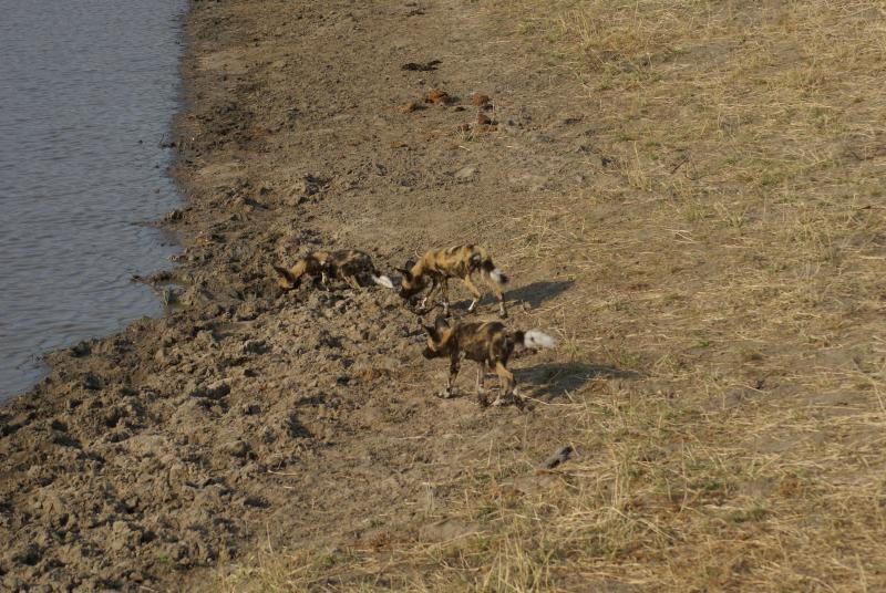 randomSabi Sands