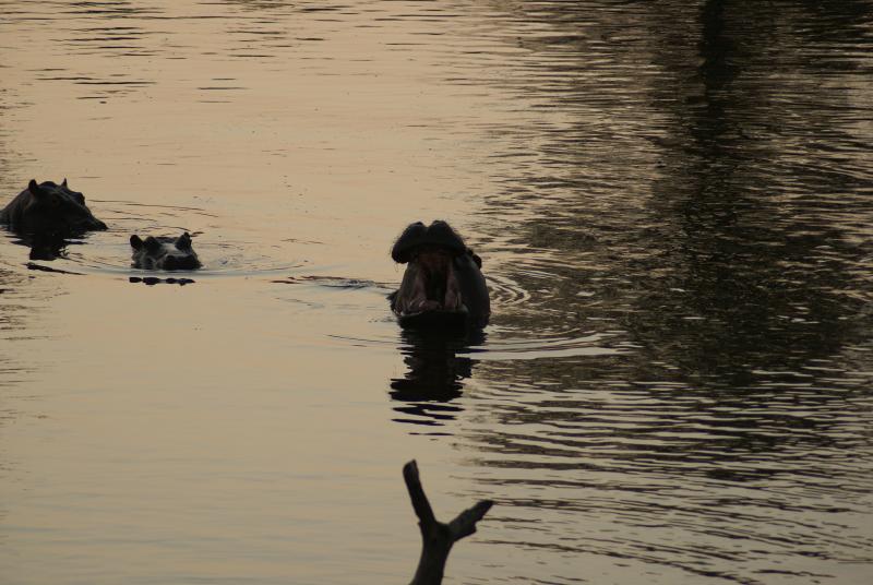 randomSabi Sands