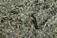 DSC02749.jpg