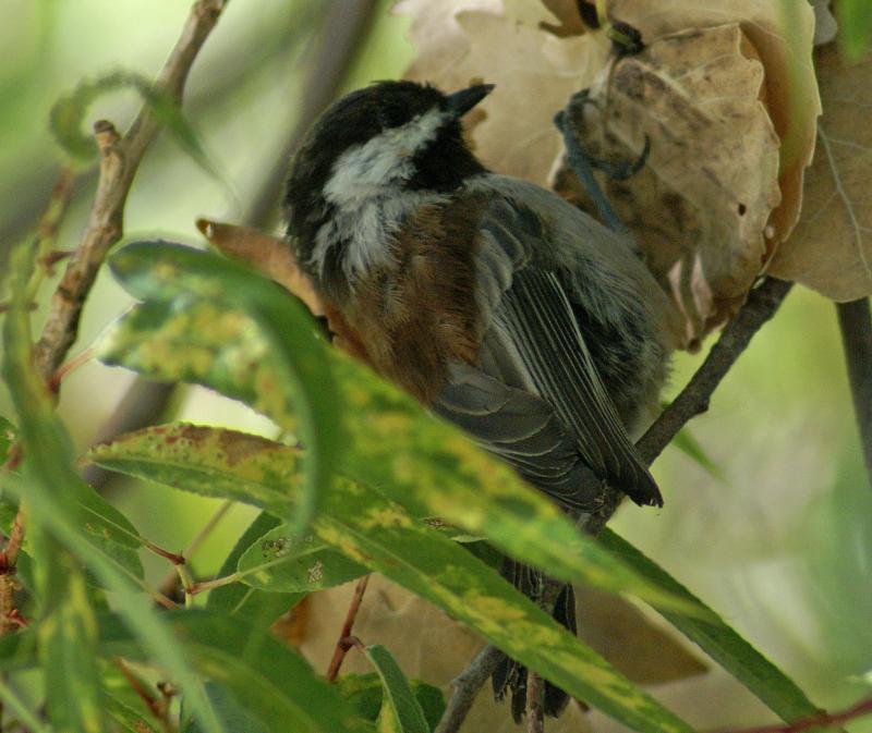 randomLafayette Reservoir