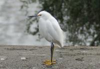 DSC03777.jpg