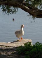 DSC06308.jpg