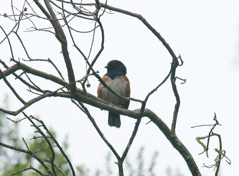 randomRoberts Regional Recreation Area