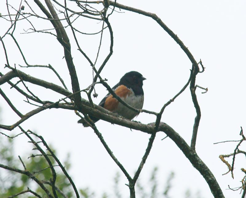 randomRoberts Regional Recreation Area