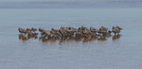 DSC01857.jpg