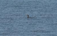 DSC02357.jpg