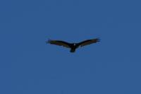 DSC07956.jpg