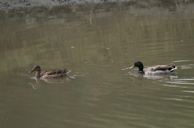 randomHayward Shoreline
