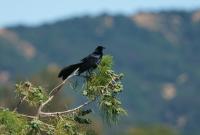 DSC01201.jpg