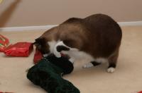 DSC09107.jpg