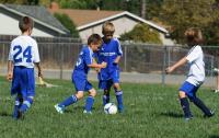 DSC00395.jpg